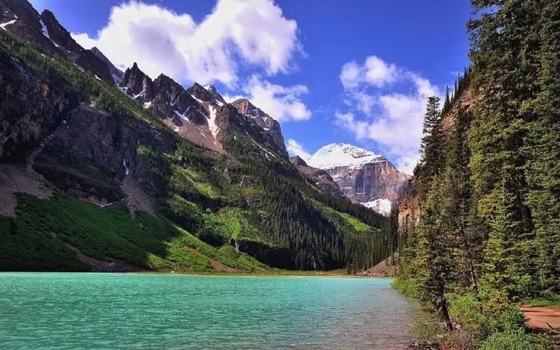 网络化工业